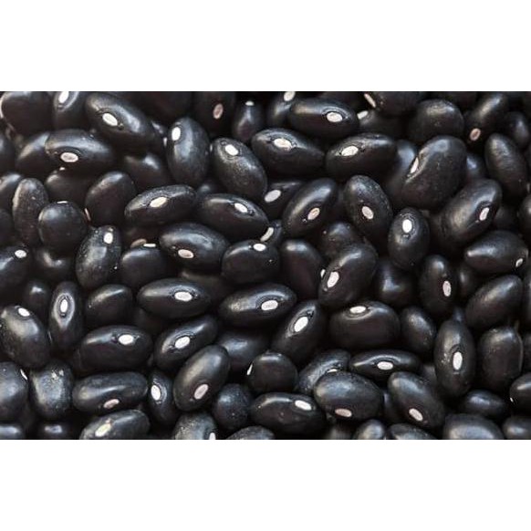 

Kacang Kedelai Hitam 50Gram Black Turtle Bean 50G Titanium.Store1