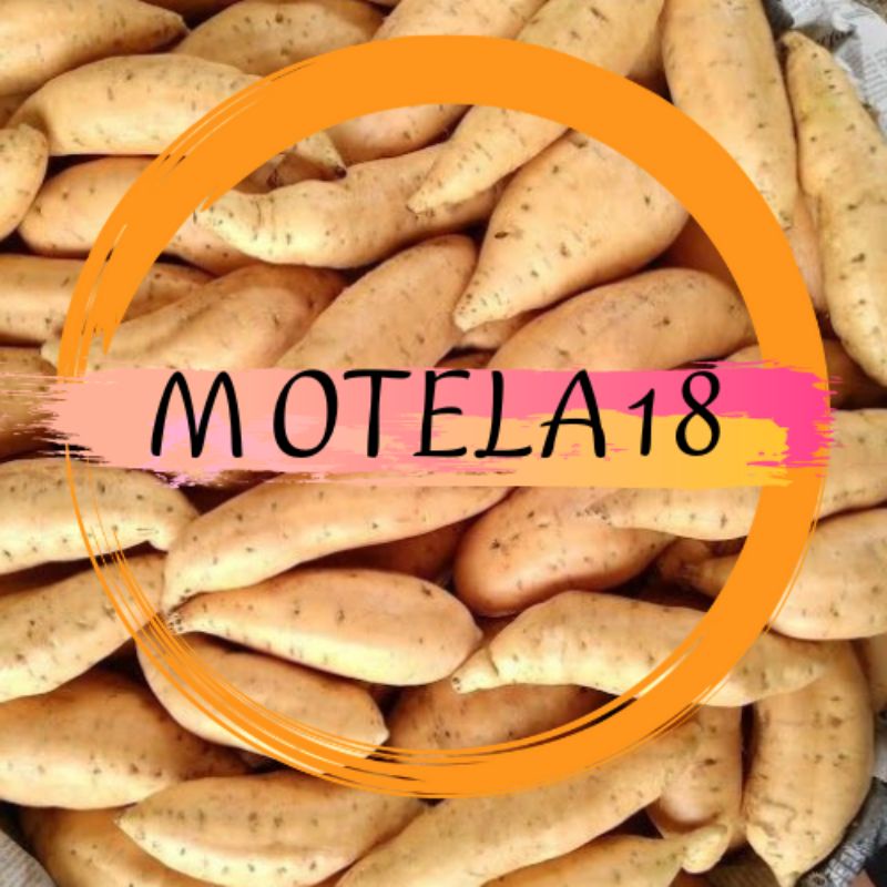 

TELA MADU KHAS LUMAJANG(BABY TELA)