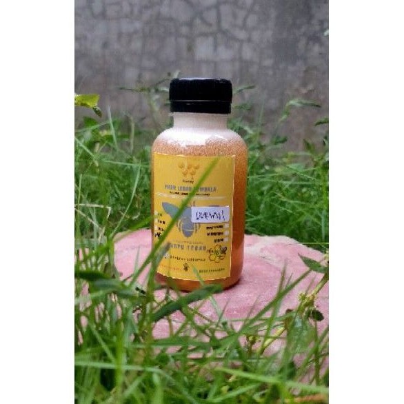 

Madu bunga durian murni asli lebah mellifera 150 ML