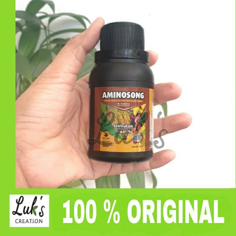 AMINOSONG asam amino organik booster pupuk biostimulan protein tanaman