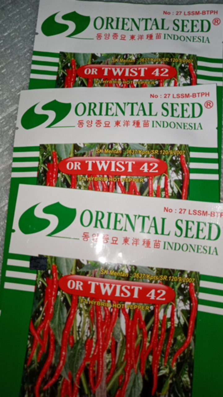 Benih Cabe Keriting Or Twist 42 Cabe Keriting