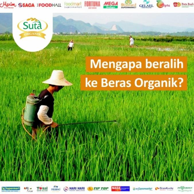 

BERAS MERAH ORGANIK