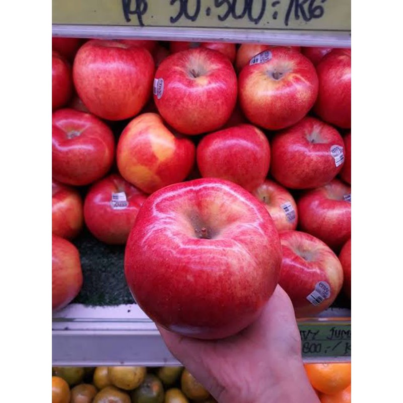 

Apel Envy Jumbo