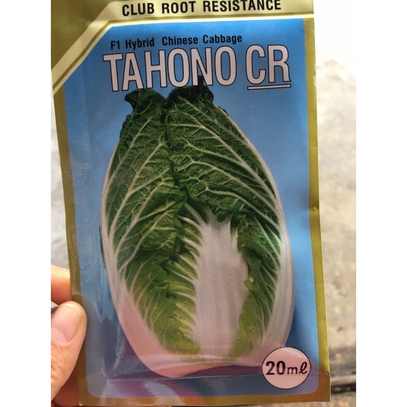 benih sawi putih sayur putih tahono ukuran 20 ml