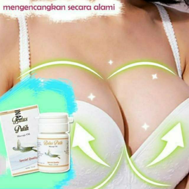 PEMBESAR PENGENCANG PAYUDARA BPOM AMAN CEPAT AMPUH MINYAK BULUS PUTIH ORI OIL MESSAGE PIJAT