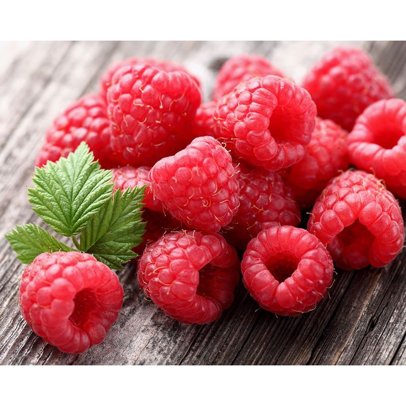 Benih Bibit Biji - Buah Raspberry Merah Red Raspberry Berries Fruit Seeds - IMPORT