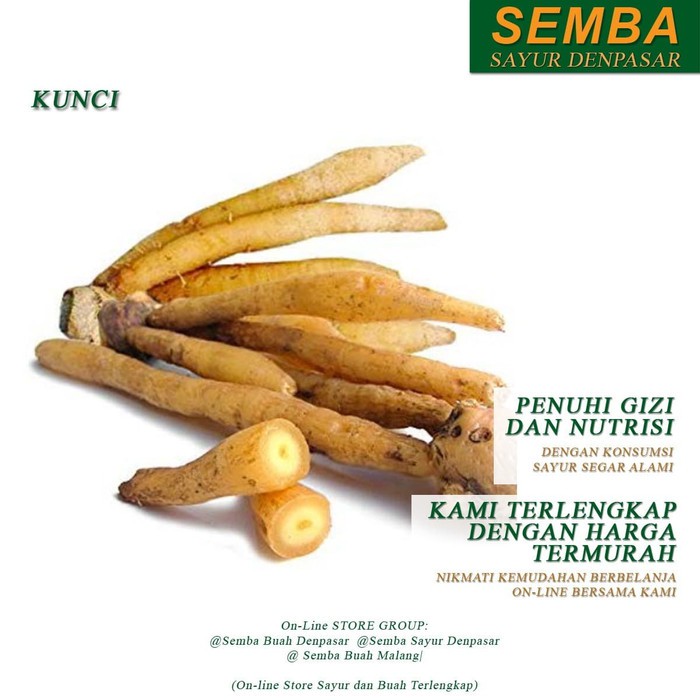 

TEMU KUNCI sayur sayuran DENPASAR BALI sembako bumbu lauk buah food bahan makanan murah fresh