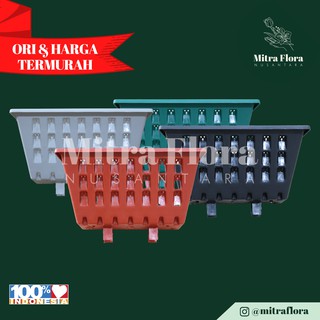  Pot  Tempel Argo 01 Tanaman  Bunga dan Hias Vertical Garden 