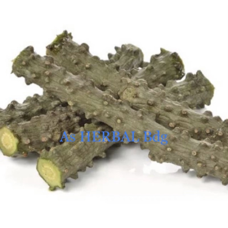 

Brotowali segar / batang brotowali 1 kg-az