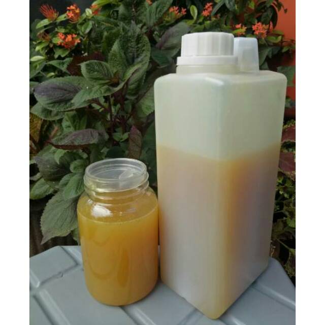 

MADU KALIANDRA ASLI 1000GR