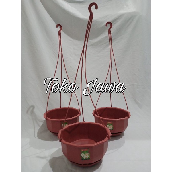 Pot Gantung lion star Gardenia Flower | Pot Gantung / Pot Bunga Tanaman WR Coklat