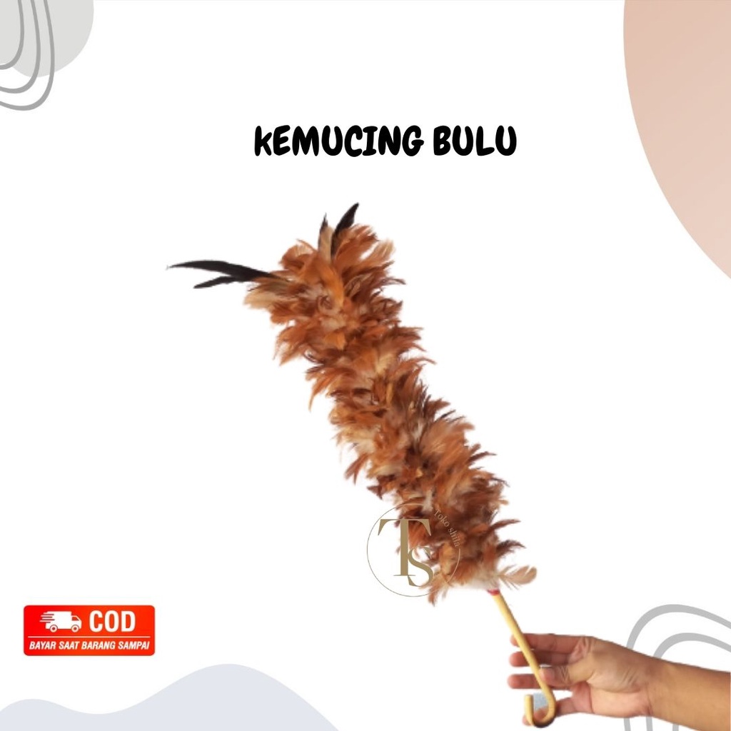 Kemucing Bulu Ayam Kualitas Super Anti Rontok Sulak Wulu