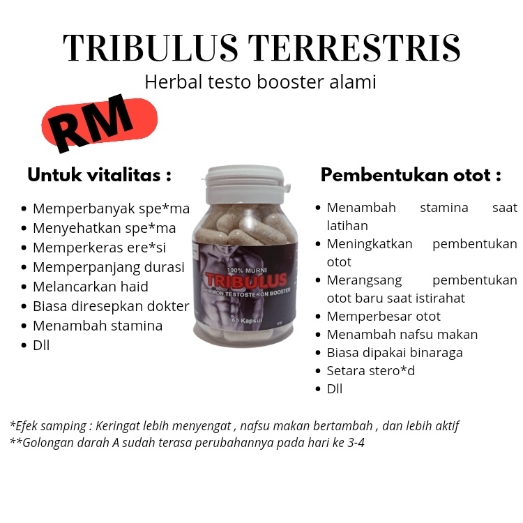 SUPLEMEN FITNESS PEMBESAR OTOT TRIBULUS TESTO KAPSUL