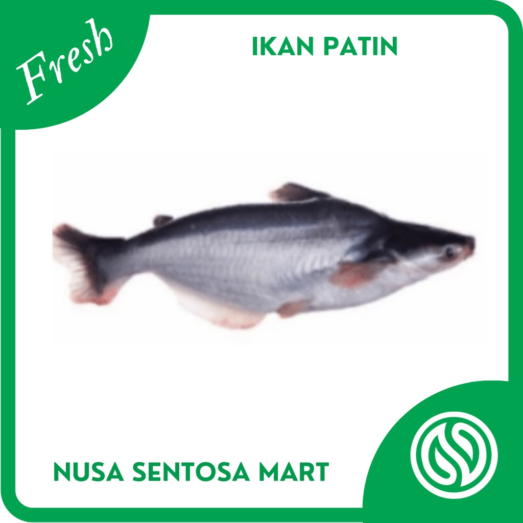 

Ikan Patin Segar - 1 Kg