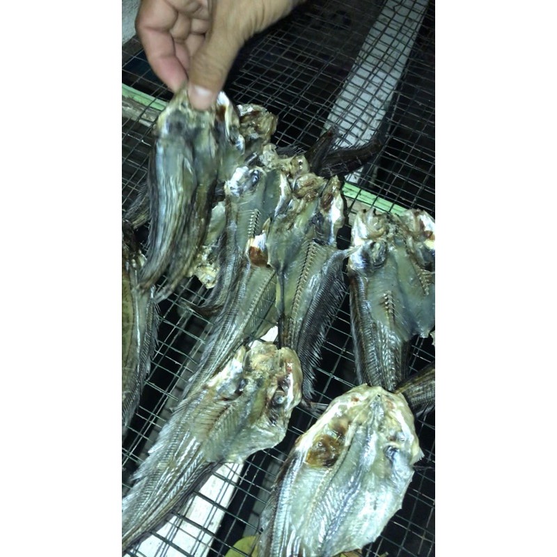 

ikan asin lais kalimantan