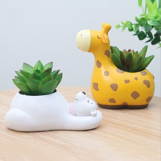  Pot  Bunga  Tanaman Succulent Lucu  Bahan Resin untuk 