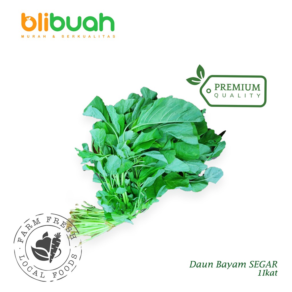 Jual Daun Bayam Fresh 1 Ikat Bayam Spinach Sayur Bayam Sayur