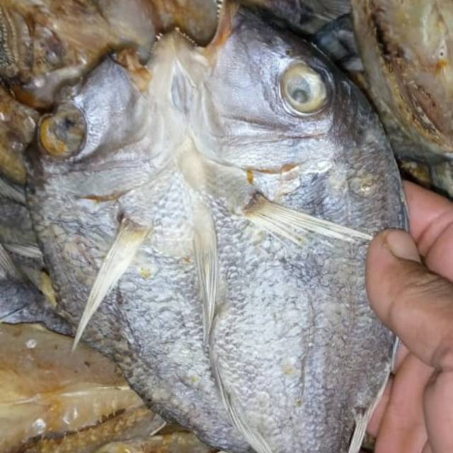 

Ikan Asin Karang belah asli ikan segar dari laut langsung diolah