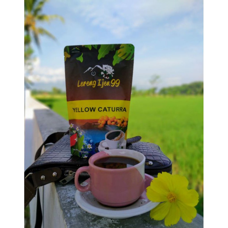 

Kopi Yellow Catura
