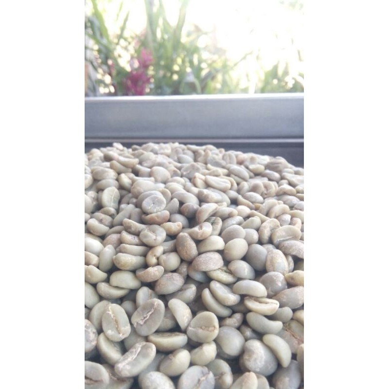 

greenbean/biji kopi Arabika kerinci