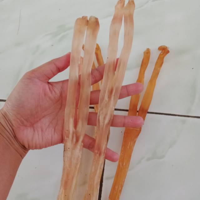 Otot kaki sapi kering perbiji cocok untuk Snack anjing