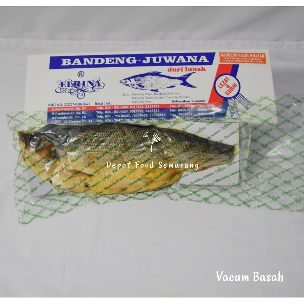 Jual Bandeng Juwana Elrina Prestoduri Lunak Vacum Basah Shopee