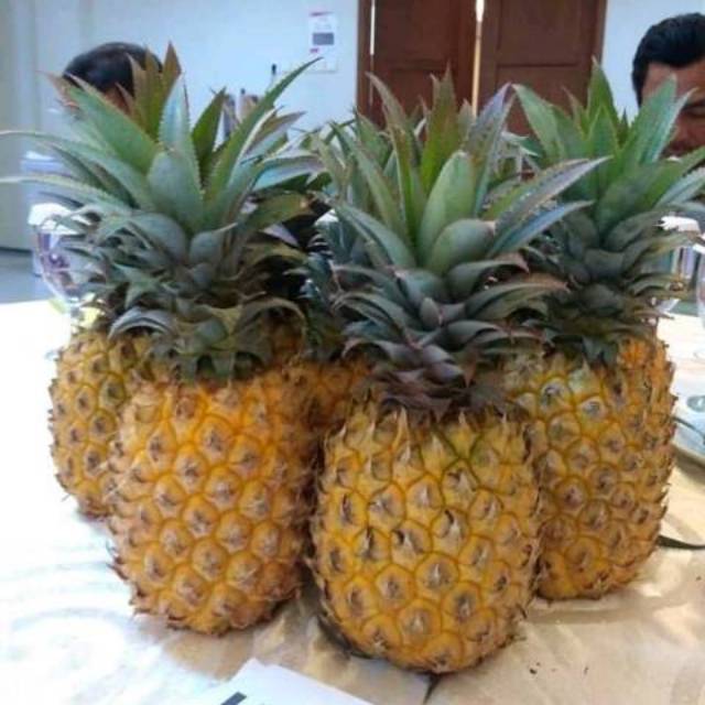 

Buah dan olahan nanas
