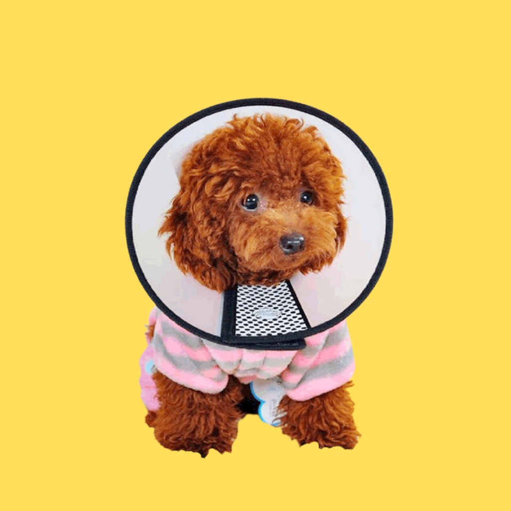 Pelindung leher anjing collar neck corong Kucing cone leher Hewan collarneck