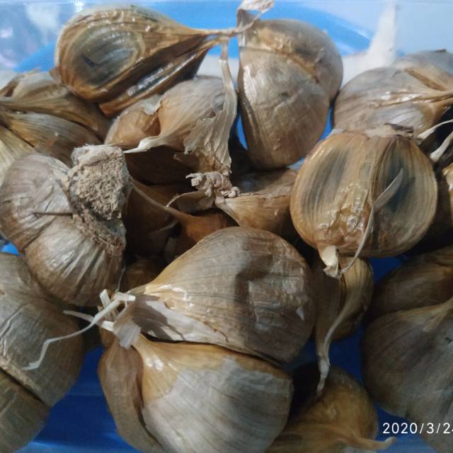 

Herbal asli Bawang Hitam kating