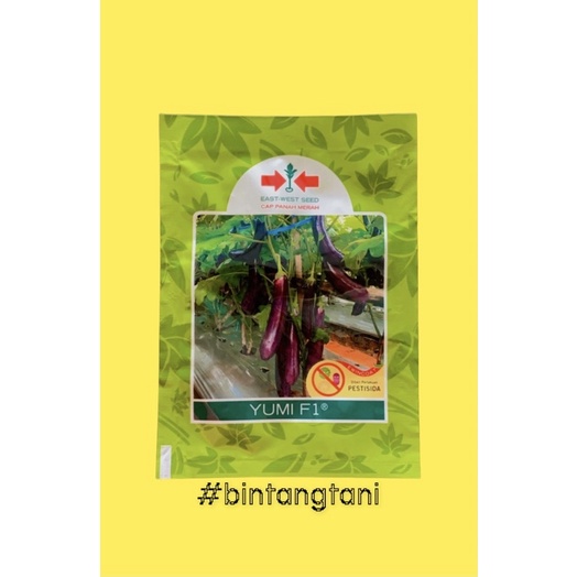 BENIH TERONG YUVITA F1 1.100 BUTIR