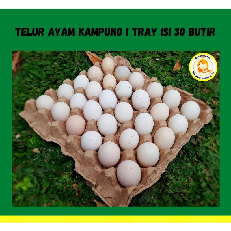 

Telur Ayam Kampung Organik Asli Isi 30 Pcs/Butir