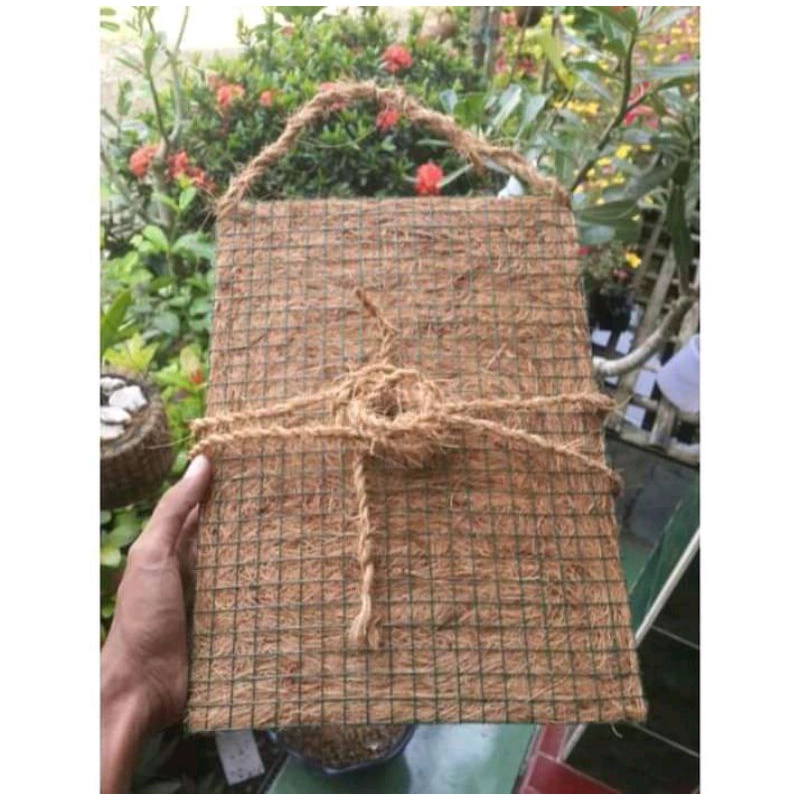 media papan tempel bunga anggrek/papan anggrek/papan platycerium tanduk rusa