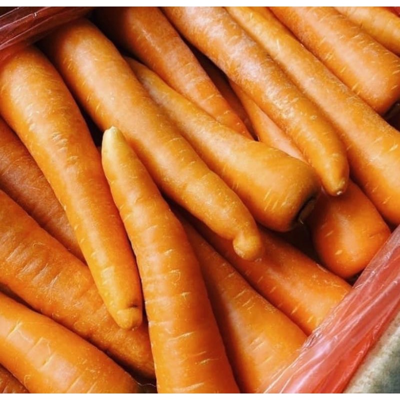 

WORTEL IMPORT 1 PACK/SAYUR WORTEL IMPORT FRESH
