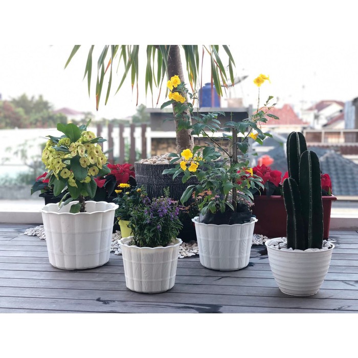 Pot Bunga Plastik motif kayu 25 cm putih