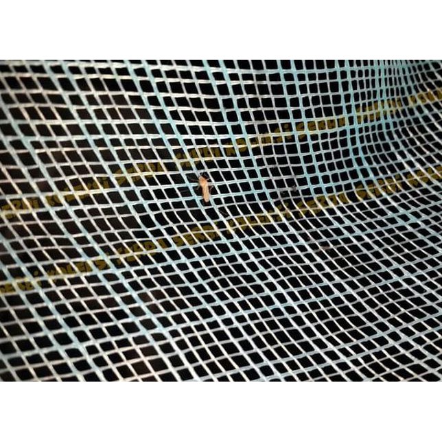 Kawat Nyamuk Plastik / Insect Net Hdpe/ Kasa Nyamuk Pvc - Biru
