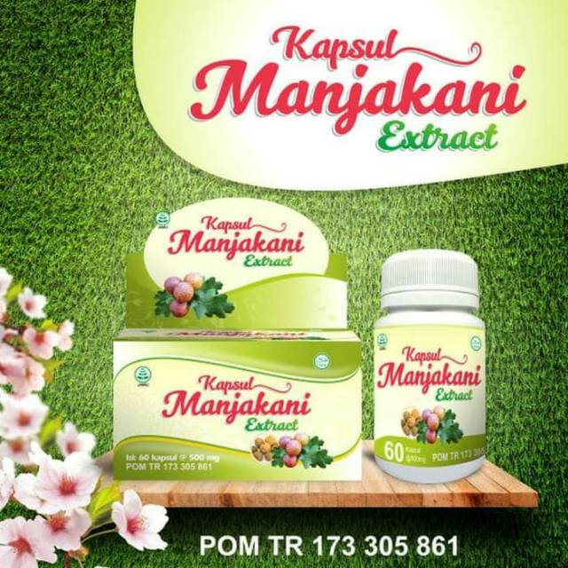 Kapsul manjakani extract mengatasi masalah kewanitaan