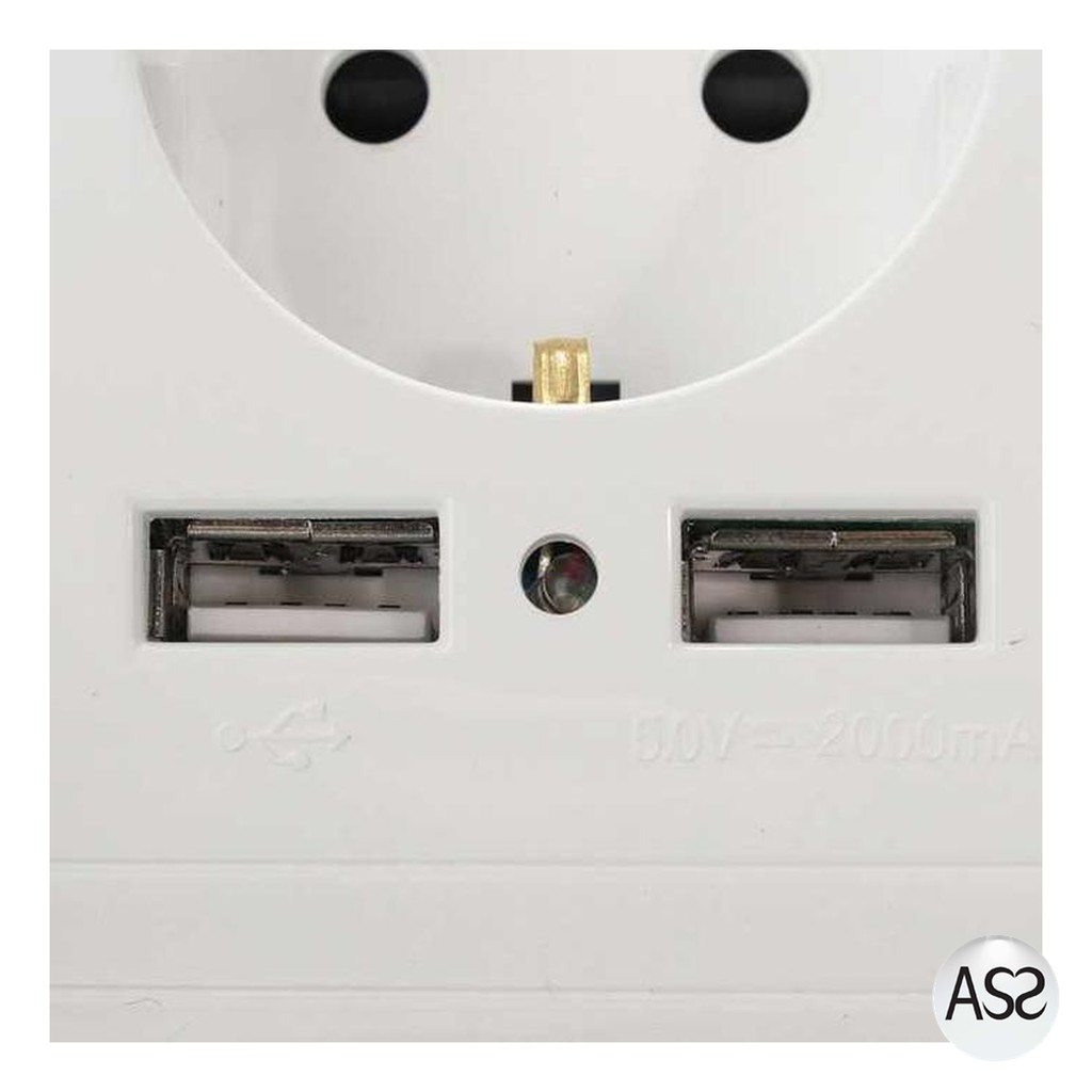 ASS Shop - Taffware Stop Kontak Dinding EU Plug dengan 2 USB Port - SCN2