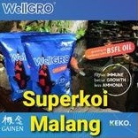 Wellgro Koi Gainen 2KG 2 KG Pakan Ikan Pelet Well Gro Growth Grow