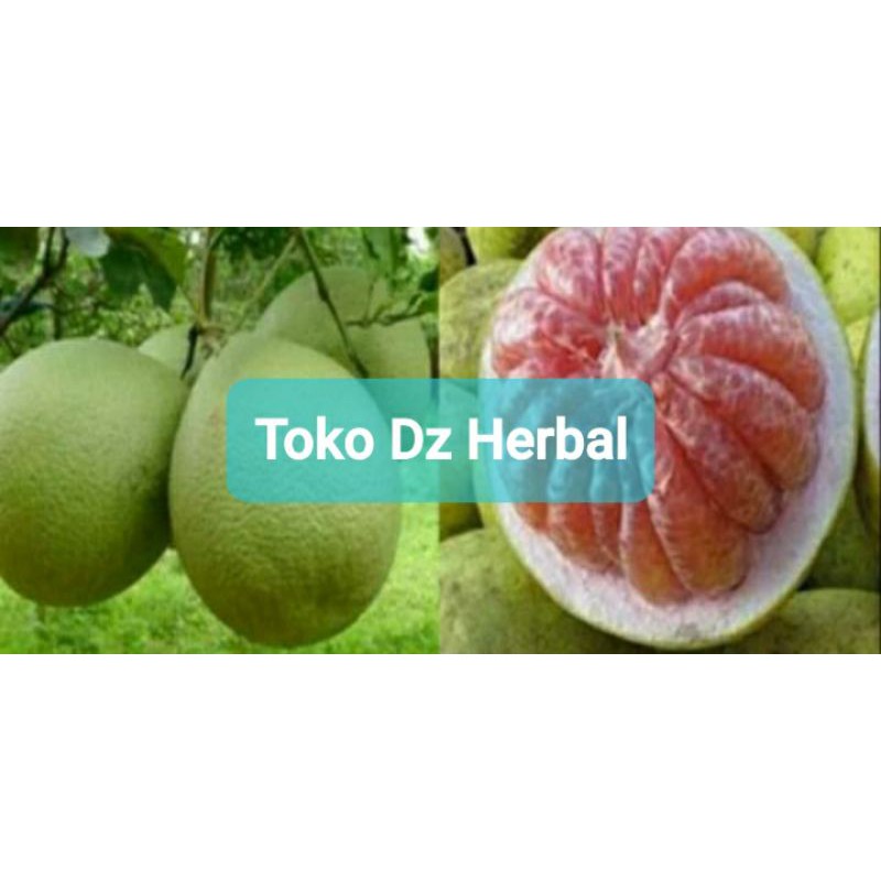 

Buah jeruk bali merah segar perbuah