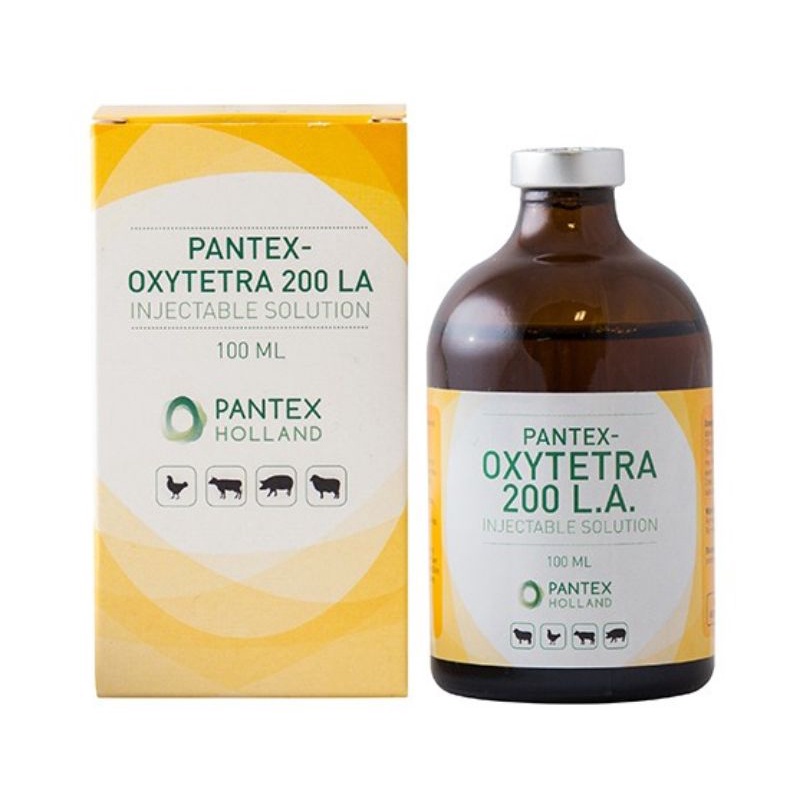 antibiotik luka kulit  obat PMK OTC pantex, OXYTETRA 200 LA, holland pantex otc