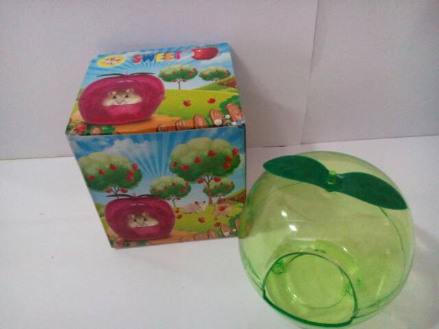 Tempat mandi hamster apple