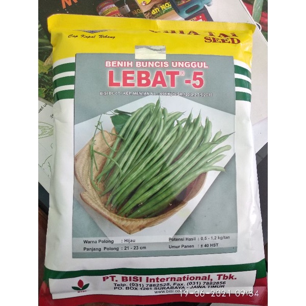 Benih Buncis LEBAT 5