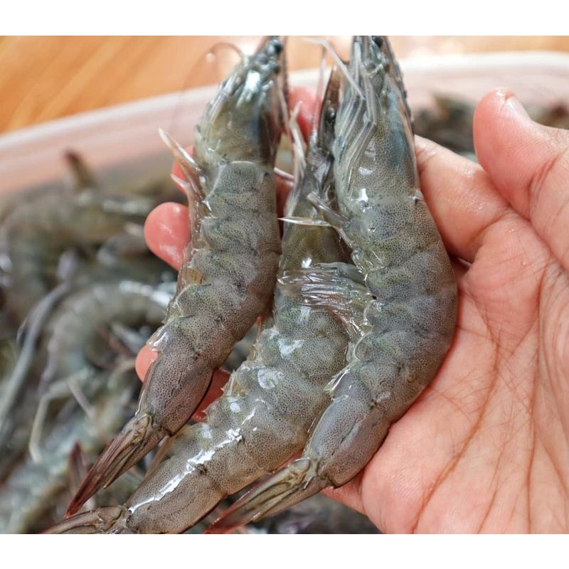 

udang fresh - 125 gram