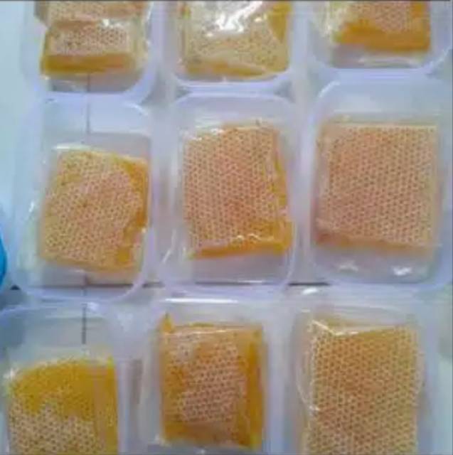 [250GR] SARANG MADU MELIFERA ASLI / HONEYCOMB / MADU SARANG SIAP KIRIM