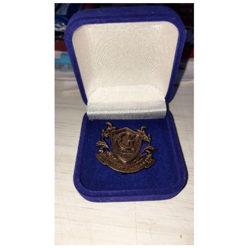 The Gifted pin (official)