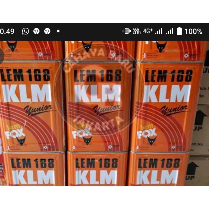 

lem fox yunior
