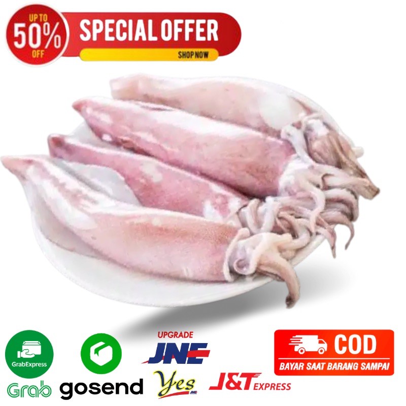 

ikan cumi 500 gram basah babi cumi sero fresh segar bandung