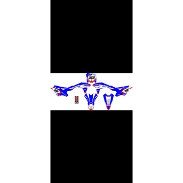 DECAL KX 250 /STICKER DECAL KX250 FREE CUSTOM NAMA DAN NOMOR