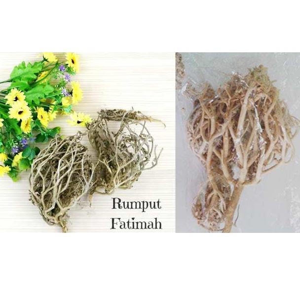 

[PRODUK TFWZJ] HERBAL PELANCAR PERSALINAN RUMPUT FATIMAH SANGAT BAGUS BUAT IBU HAMIL JUGA, ORIGINAL ARAB SAUDI YQ7