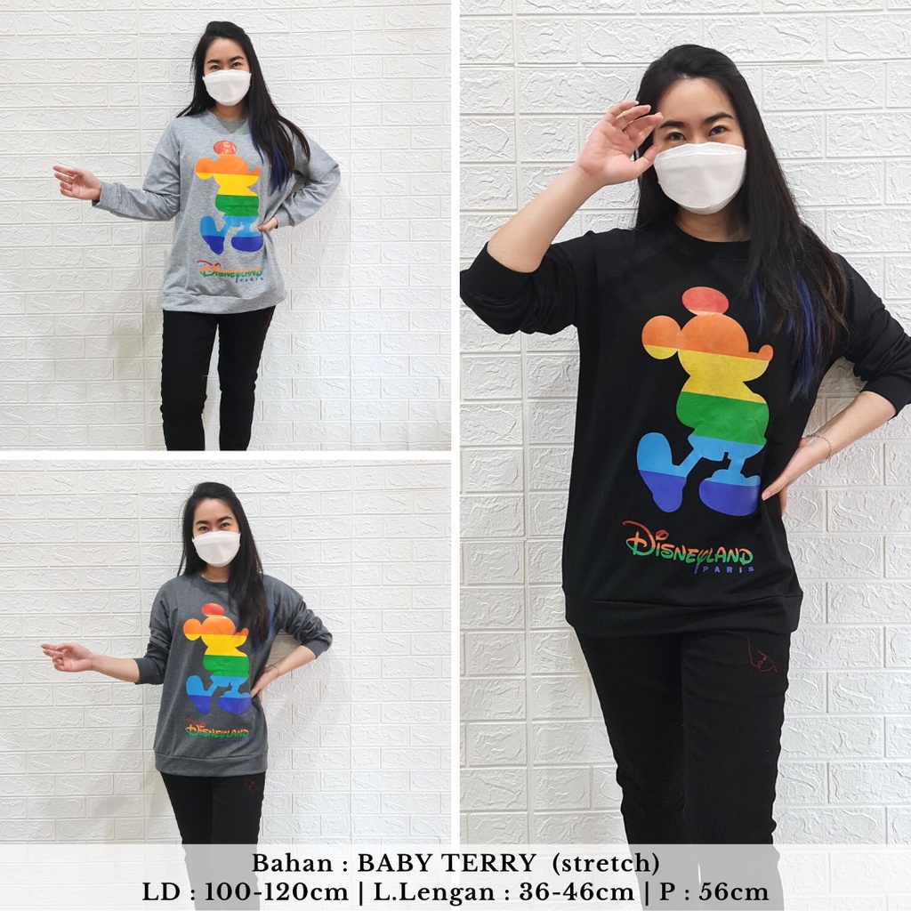 3663 mouse rainbow sweater